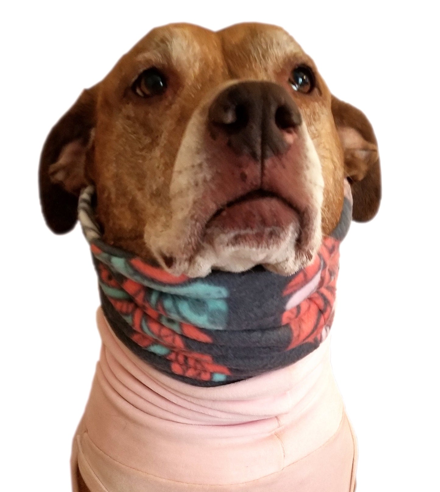 Big Dog Custom Snood Neck Warmer Scarf Large, Made To Measure