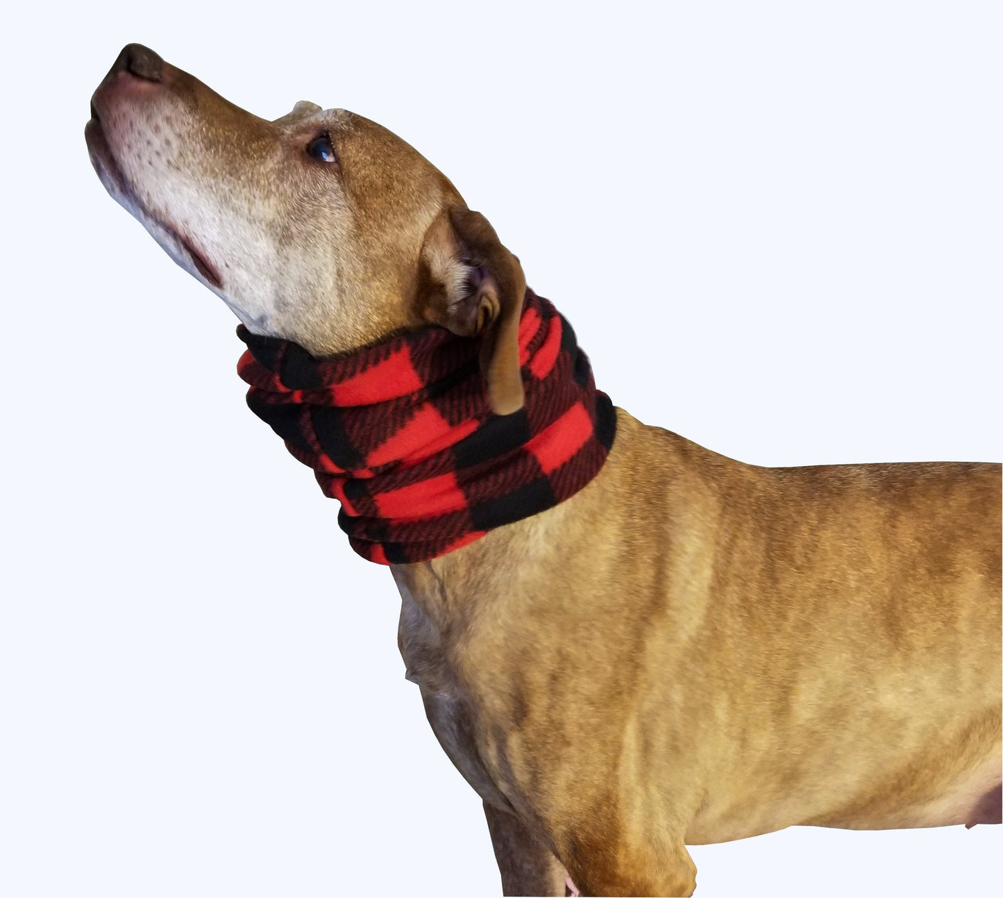 Custom Infinity Dog Scarf, Fleece Snood, Made-to-measure, Neck Warmer