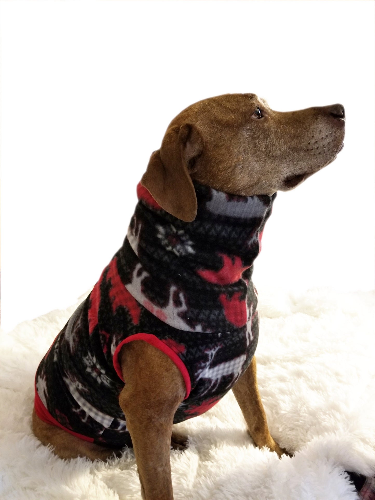 Big Dog Clothes, Winter Fleece Turtlenck Pullover, Shirt, Sweater, Jacket Made-to-measure, Custom sizing